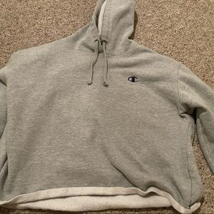Gray Champion Hoodie